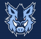 Blue Boar Contracts Ltd logo